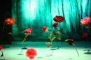 Le Ciel Rouge n a plus soif 22 * 4368 x 2912 * (5.64MB)